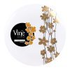 Black and Gold Round Plastic Plates - Vine